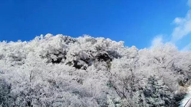 暗黑血统3