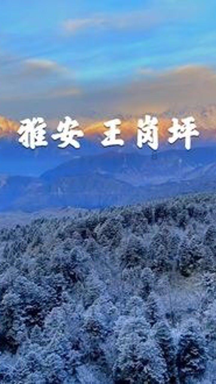 以色列南部地区响起火箭弹防空警报